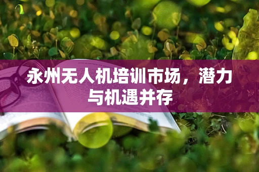 永州无人机培训市场，潜力与机遇并存