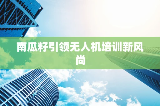 南瓜籽引领无人机培训新风尚