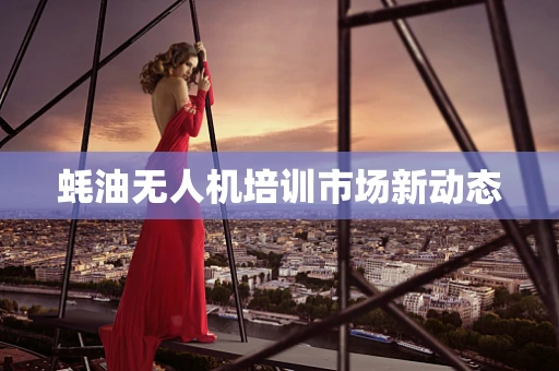 蚝油无人机培训市场新动态