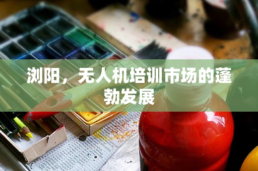 浏阳，无人机培训市场的蓬勃发展