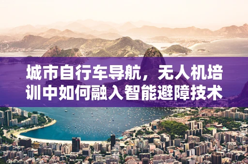 城市自行车导航，无人机培训中如何融入智能避障技术？