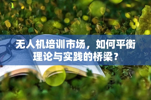 无人机培训市场，如何平衡理论与实践的桥梁？