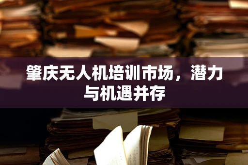 肇庆无人机培训市场，潜力与机遇并存
