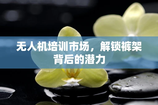 无人机培训市场，解锁裤架背后的潜力