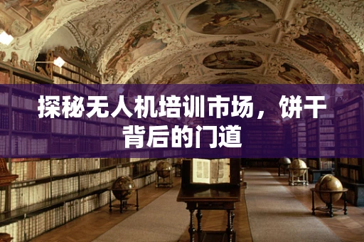 探秘无人机培训市场，饼干背后的门道