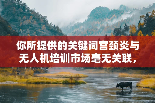 你所提供的关键词宫颈炎与无人机培训市场毫无关联，可能存在一些误解。以下是按照正确关联为你创作的内容