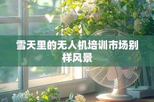 雪天里的无人机培训市场别样风景