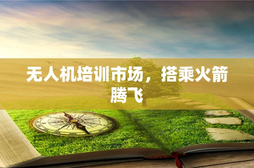 无人机培训市场，搭乘火箭腾飞