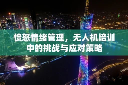 愤怒情绪管理，无人机培训中的挑战与应对策略