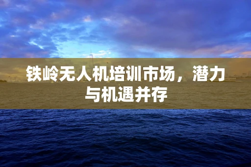 铁岭无人机培训市场，潜力与机遇并存