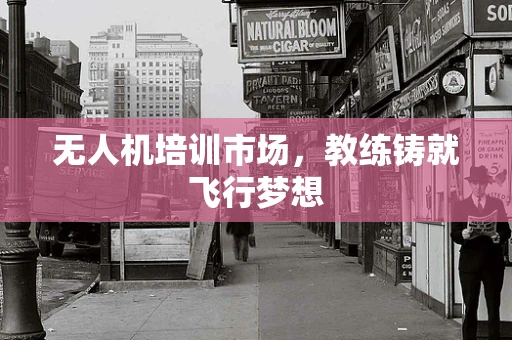 无人机培训市场，教练铸就飞行梦想