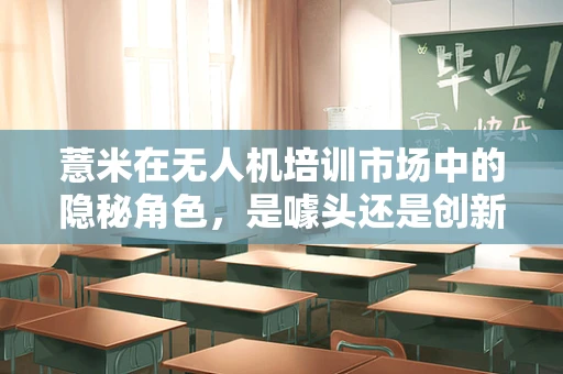 薏米在无人机培训市场中的隐秘角色，是噱头还是创新？