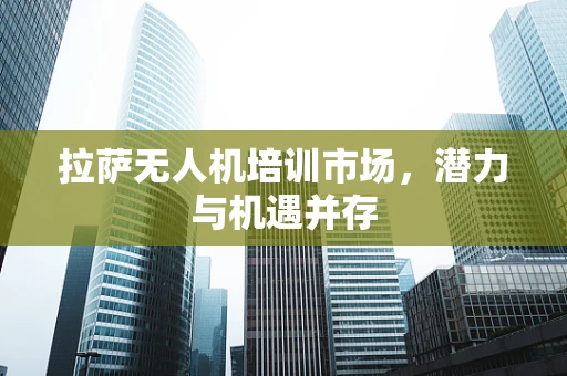 拉萨无人机培训市场，潜力与机遇并存
