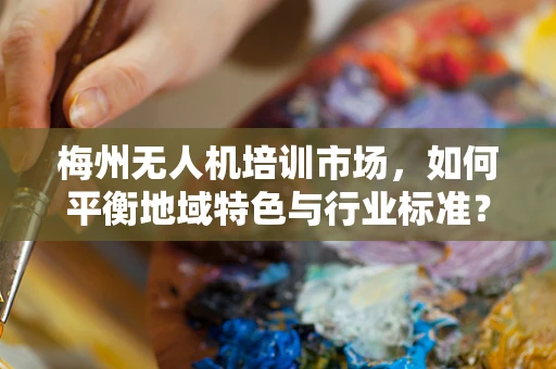 梅州无人机培训市场，如何平衡地域特色与行业标准？