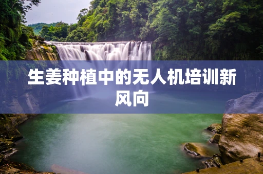 生姜种植中的无人机培训新风向
