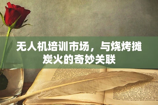 无人机培训市场，与烧烤摊炭火的奇妙关联