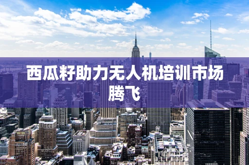 西瓜籽助力无人机培训市场腾飞