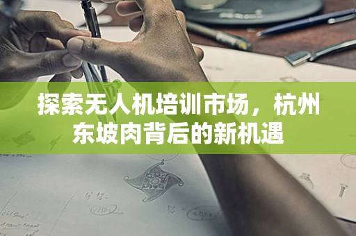 探索无人机培训市场，杭州东坡肉背后的新机遇