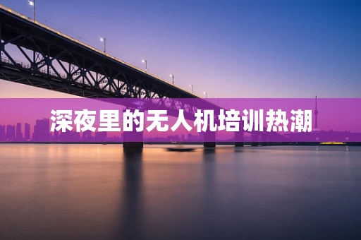 深夜里的无人机培训热潮