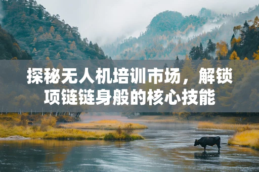 探秘无人机培训市场，解锁项链链身般的核心技能