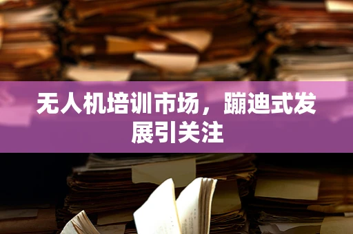 无人机培训市场，蹦迪式发展引关注