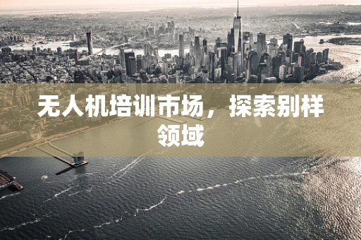 无人机培训市场，探索别样领域