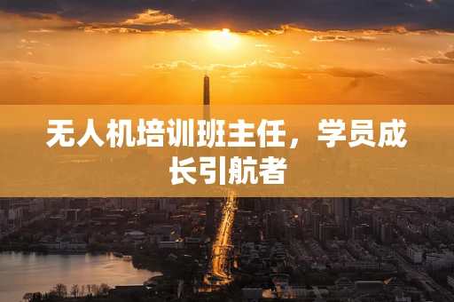 无人机培训班主任，学员成长引航者