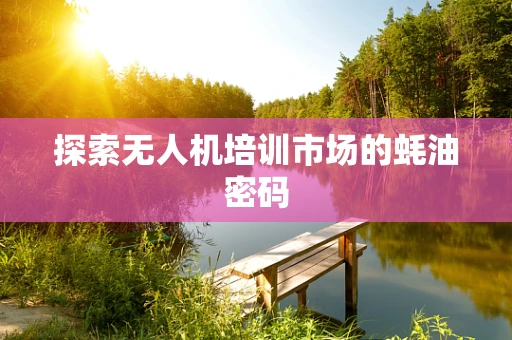 探索无人机培训市场的蚝油密码
