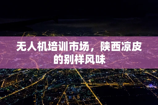 无人机培训市场，陕西凉皮的别样风味