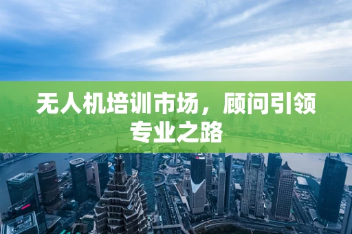 无人机培训市场，顾问引领专业之路