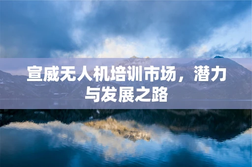 宣威无人机培训市场，潜力与发展之路