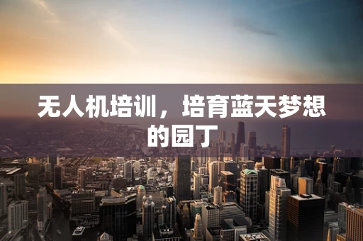 无人机培训，培育蓝天梦想的园丁