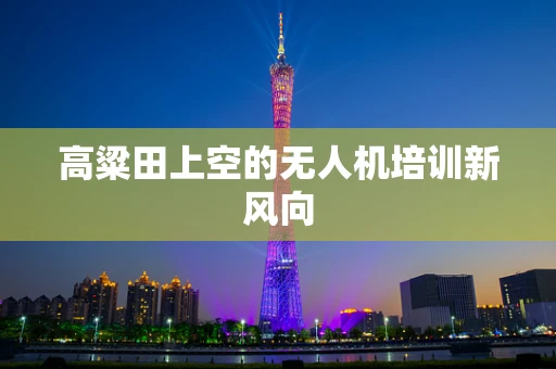 高粱田上空的无人机培训新风向
