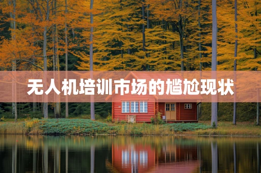 无人机培训市场的尴尬现状