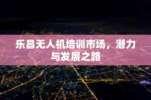 乐昌无人机培训市场，潜力与发展之路