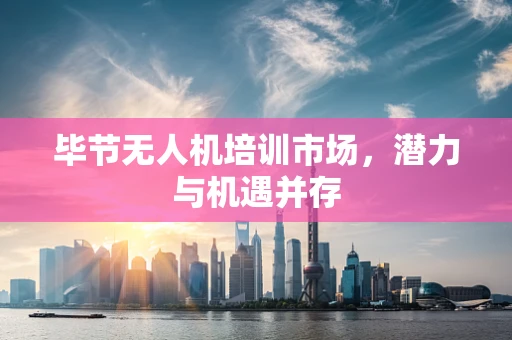 毕节无人机培训市场，潜力与机遇并存