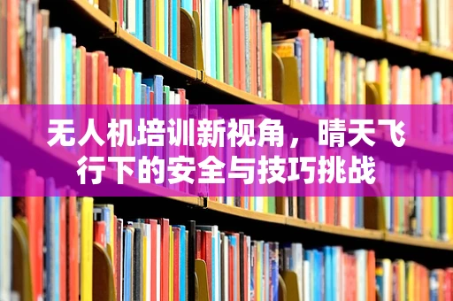 无人机培训新视角，晴天飞行下的安全与技巧挑战