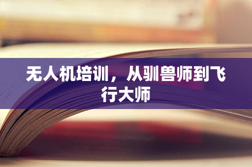 无人机培训，从驯兽师到飞行大师