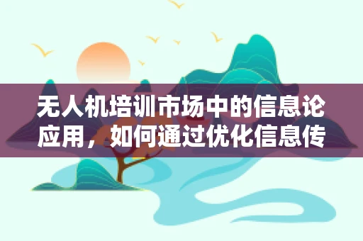 无人机培训市场中的信息论应用，如何通过优化信息传输提升学习效率？