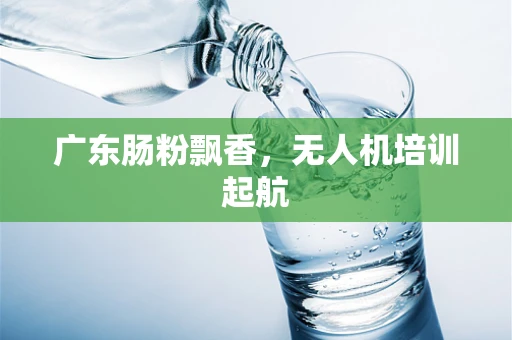 广东肠粉飘香，无人机培训起航