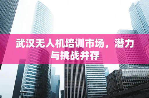 武汉无人机培训市场，潜力与挑战并存