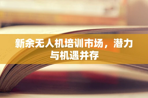 新余无人机培训市场，潜力与机遇并存
