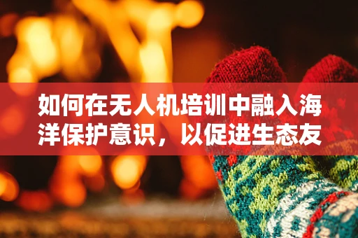 如何在无人机培训中融入海洋保护意识，以促进生态友好型航拍？