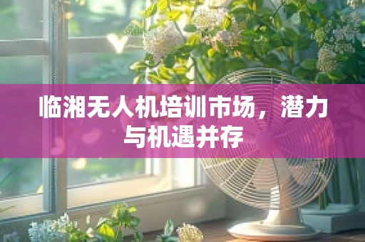 临湘无人机培训市场，潜力与机遇并存