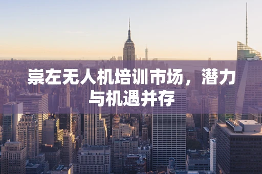 崇左无人机培训市场，潜力与机遇并存