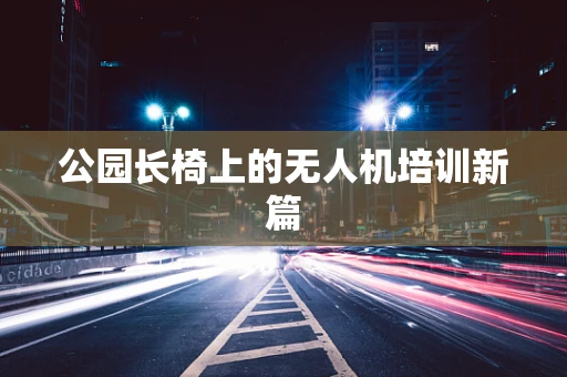 公园长椅上的无人机培训新篇