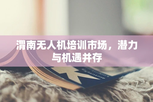 渭南无人机培训市场，潜力与机遇并存