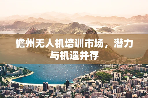 儋州无人机培训市场，潜力与机遇并存