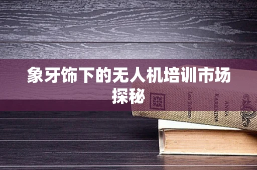 象牙饰下的无人机培训市场探秘