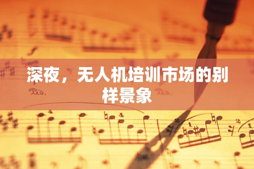 深夜，无人机培训市场的别样景象
